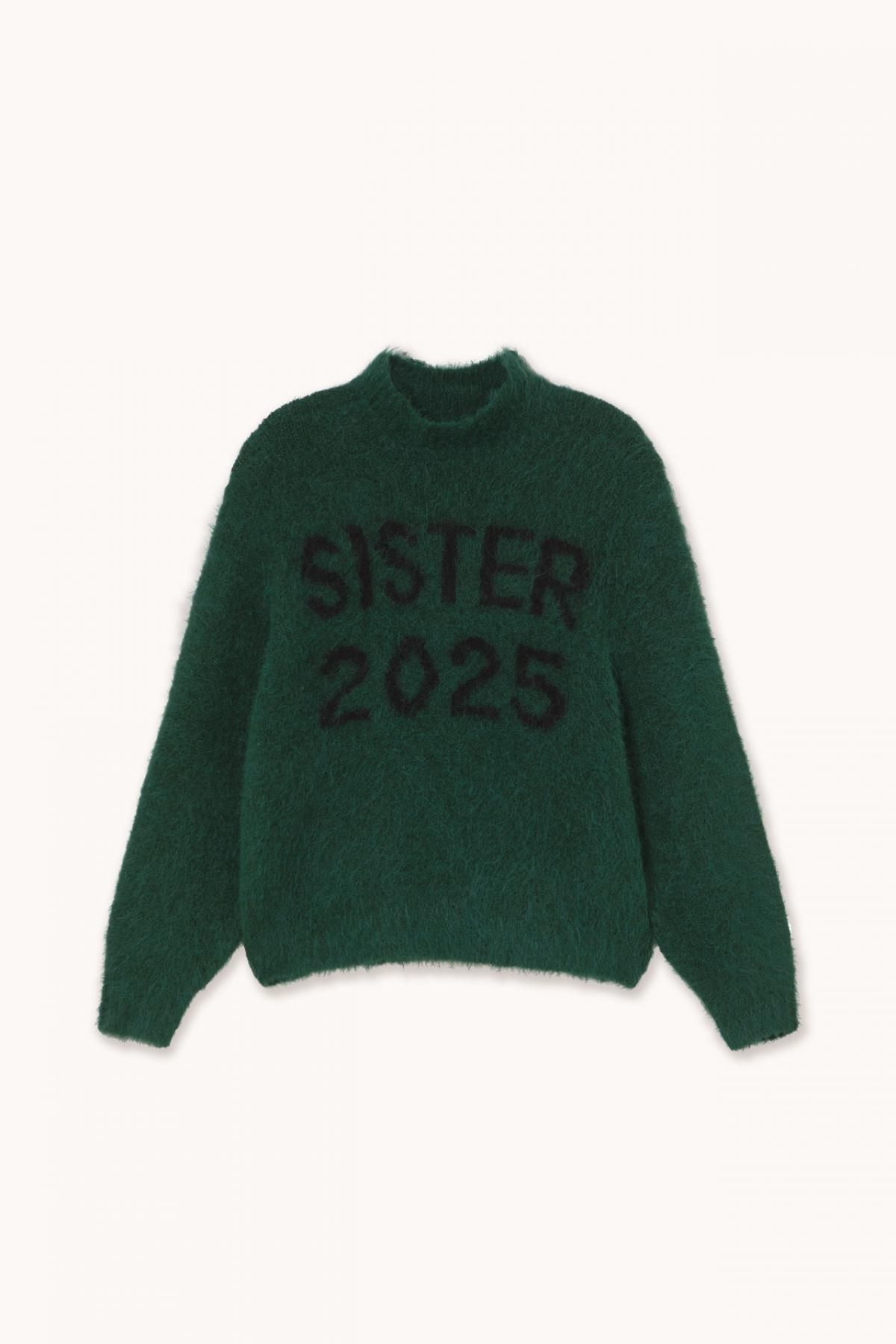 타이니코튼 테크니컬 하이넥 그린 스웨터 AW25-672M22 ONE COLOR - 상품 이미지