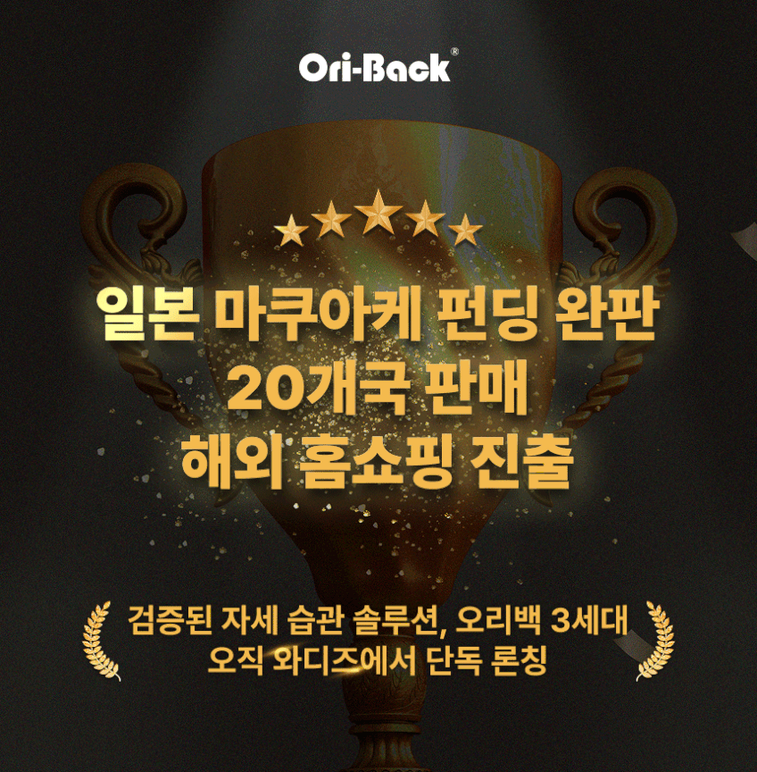 오리백 폴더(그레이) 확장형 체형교정 등받이접이식 자세교정의자 판매처 상세 정보 이미지 1