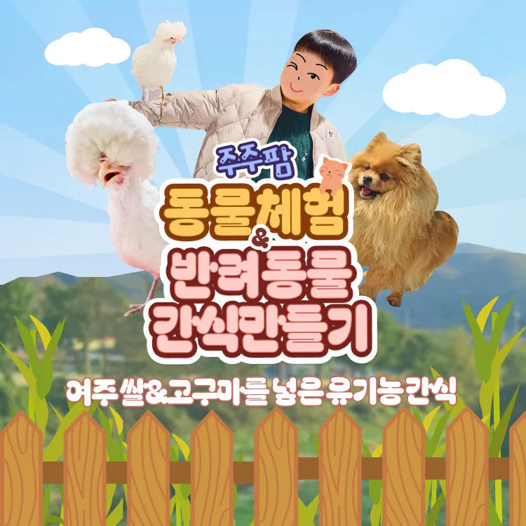 어린이 동물 농장 체험 가격 비교 아이고고 어린이 동물 농장 체험