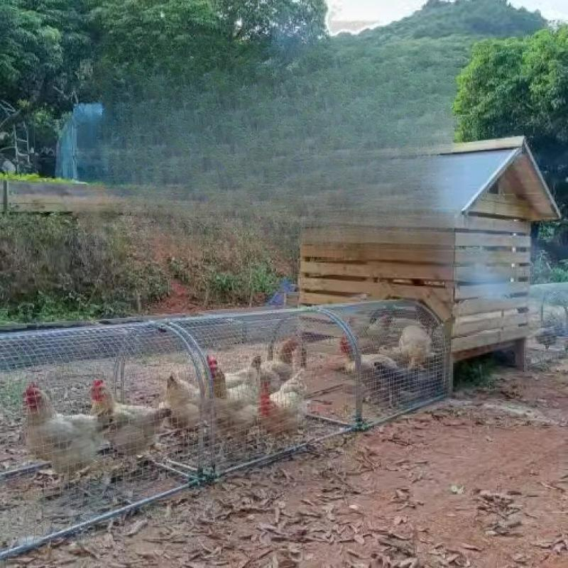 닭장만들기 케이지 철조망 야외 닭 사육장 터널 이동식 닭장 10m 세트 문 2개 포함 - 메인 이미지