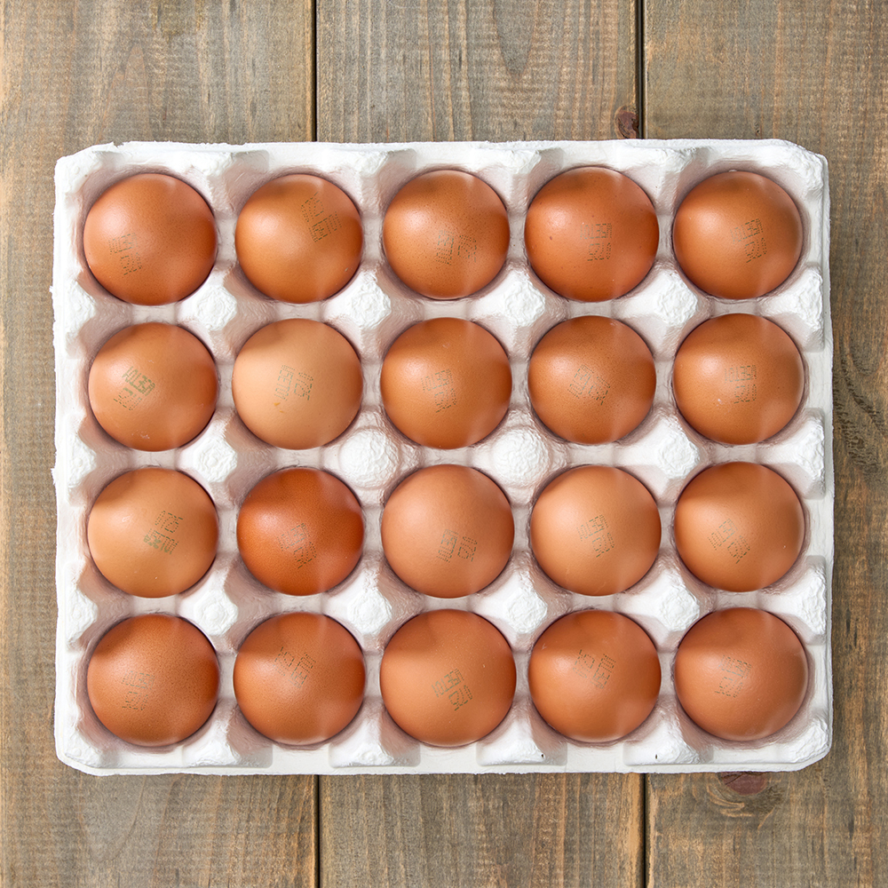 [품질보장] 난각번호1번 상황버섯 먹여 키운 무항생제 계란 유정란 자연방사 HACCP 40구, 1개