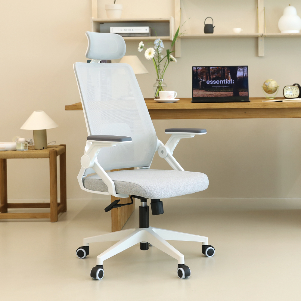 린백 LB221HA 사무용 컴퓨터 학생 책상 의자 제품 이미지