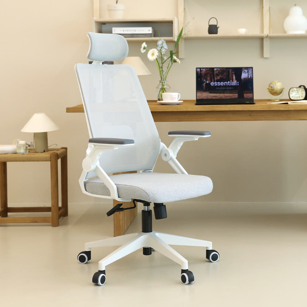 의자 비교 분석 이미지