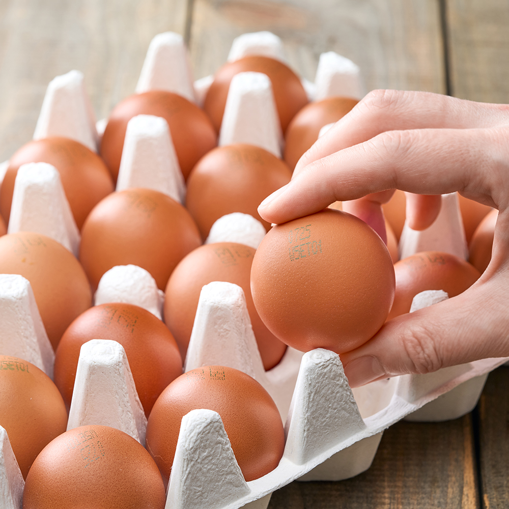 [품질보장] 난각번호1번 상황버섯 먹여 키운 무항생제 계란 유정란 자연방사 HACCP 40구, 1개