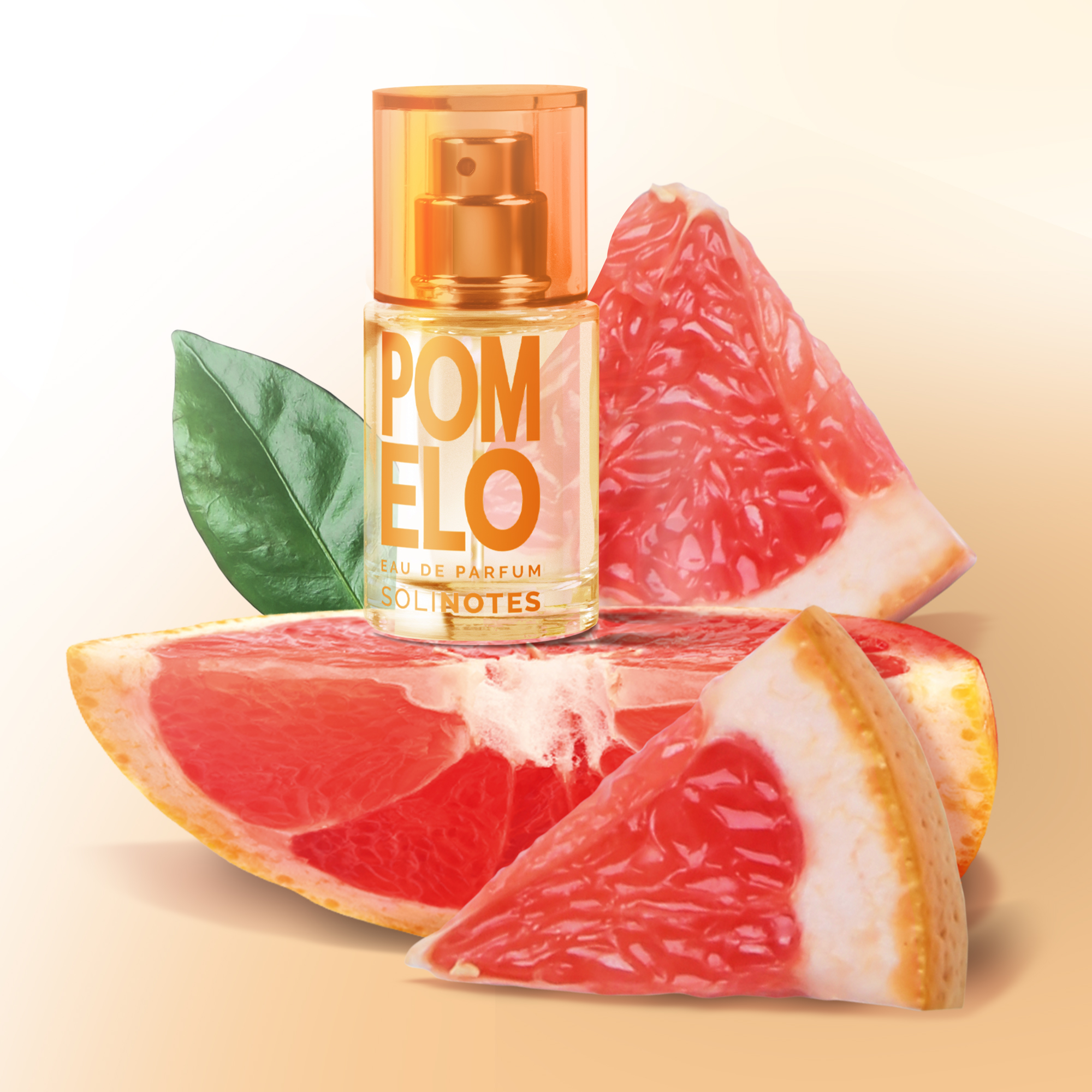 솔리노트 포멜로 15ml 오 드 퍼퓸 EDP 남성향수 여성향수 - 상세 이미지 3