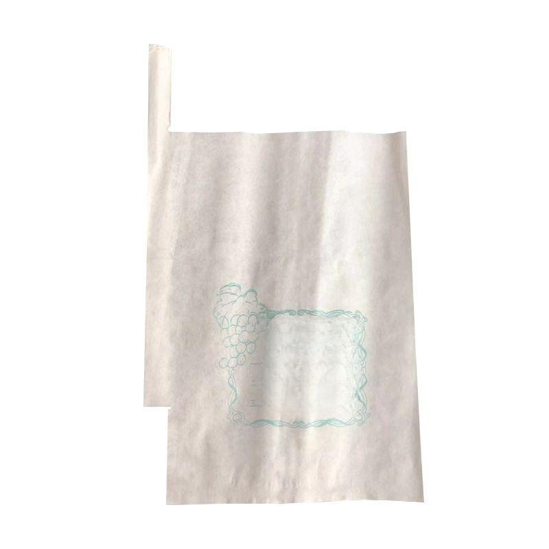 포장지 과수원 과수봉지 포도투명봉지 반투명 전체 19x26cm 0.5kg 프리미엄 목재지 100개 - 상품 이미지