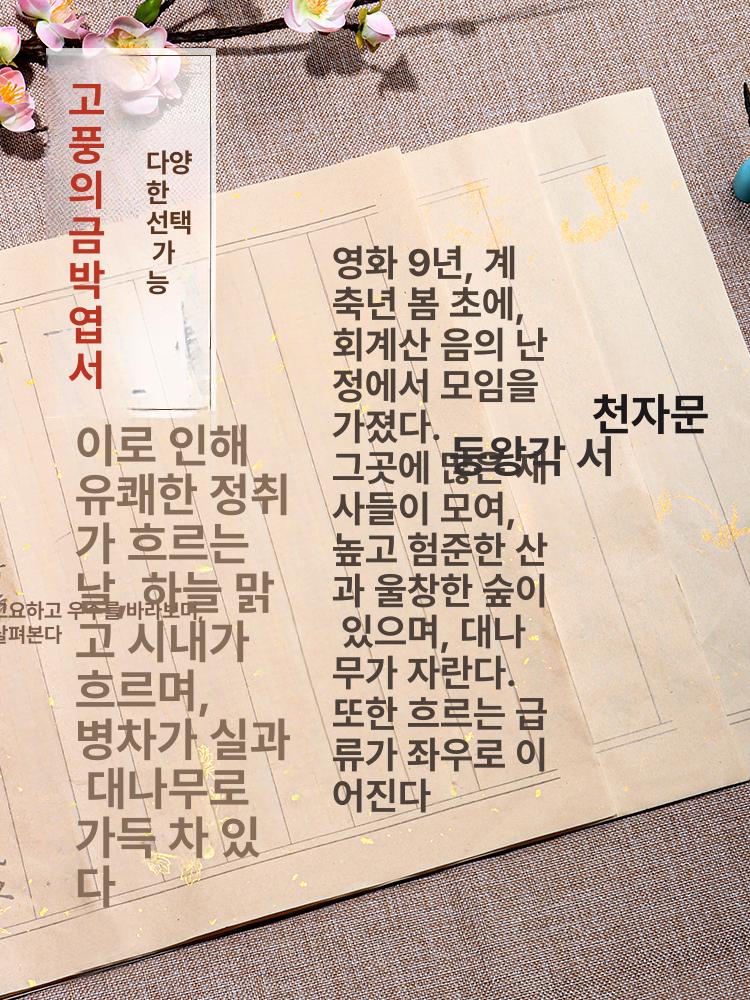 서예 기초서예교본 한문 연습장 기초교본 붓글씨연습교본 연습 초보자용 필사 기초 글씨연습 5종 국학 클래식 세트+보관통 자료만 - 상세 이미지 3