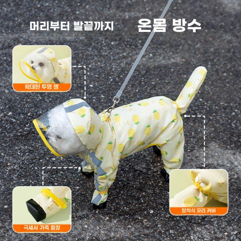 소형견 반려견 레인코트 방수 강아지 우의 산책용 - 상세 이미지 3