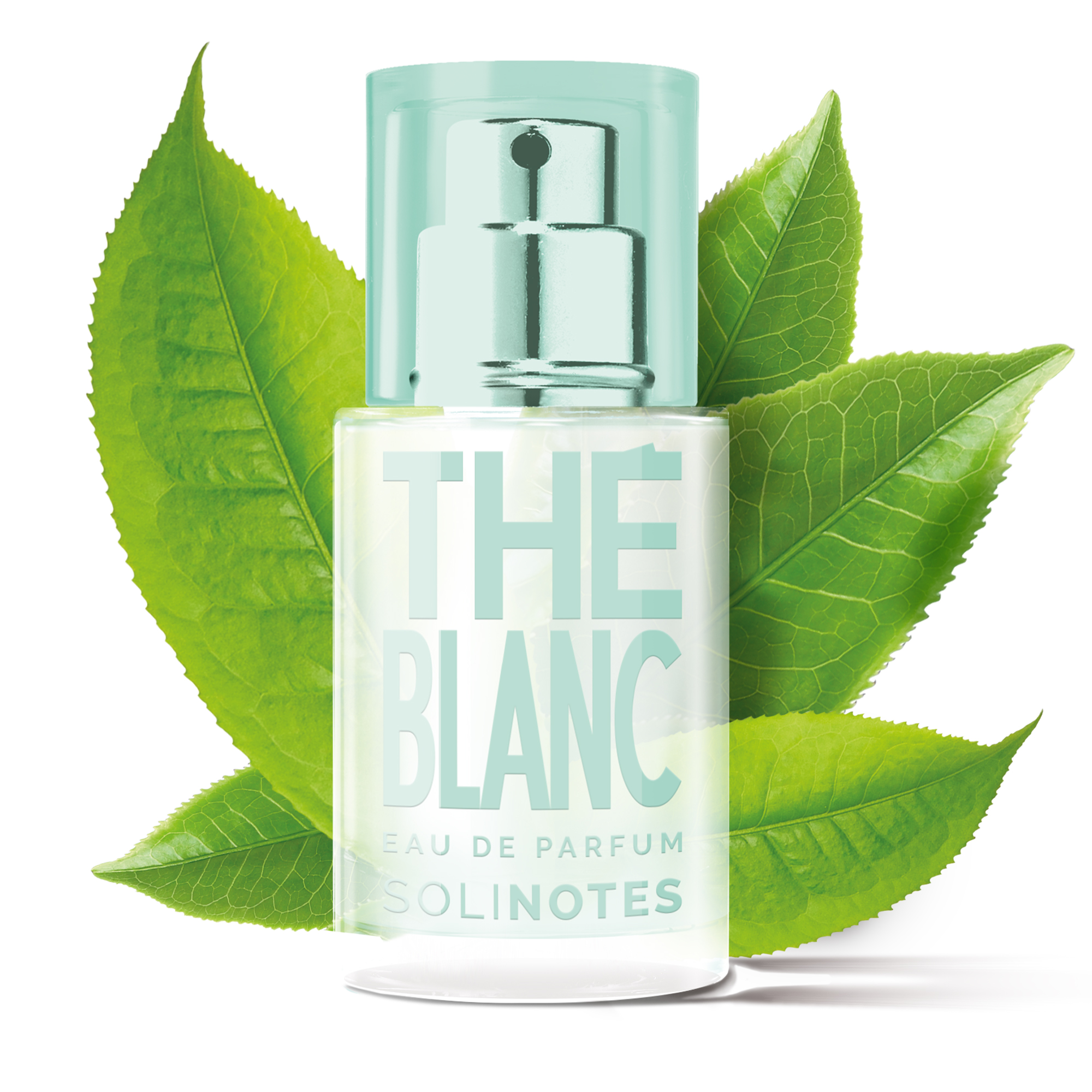 솔리노트 화이트 티 15ml 오 드 퍼퓸 EDP 남성향수 여성향수 - 상세 이미지 4