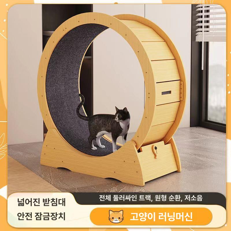 캣휠 런캣 캣스텝 운동기구 고양이 런닝머신 장난감 M 중간 5kg이하 진저옐로우 - 상세 이미지 2