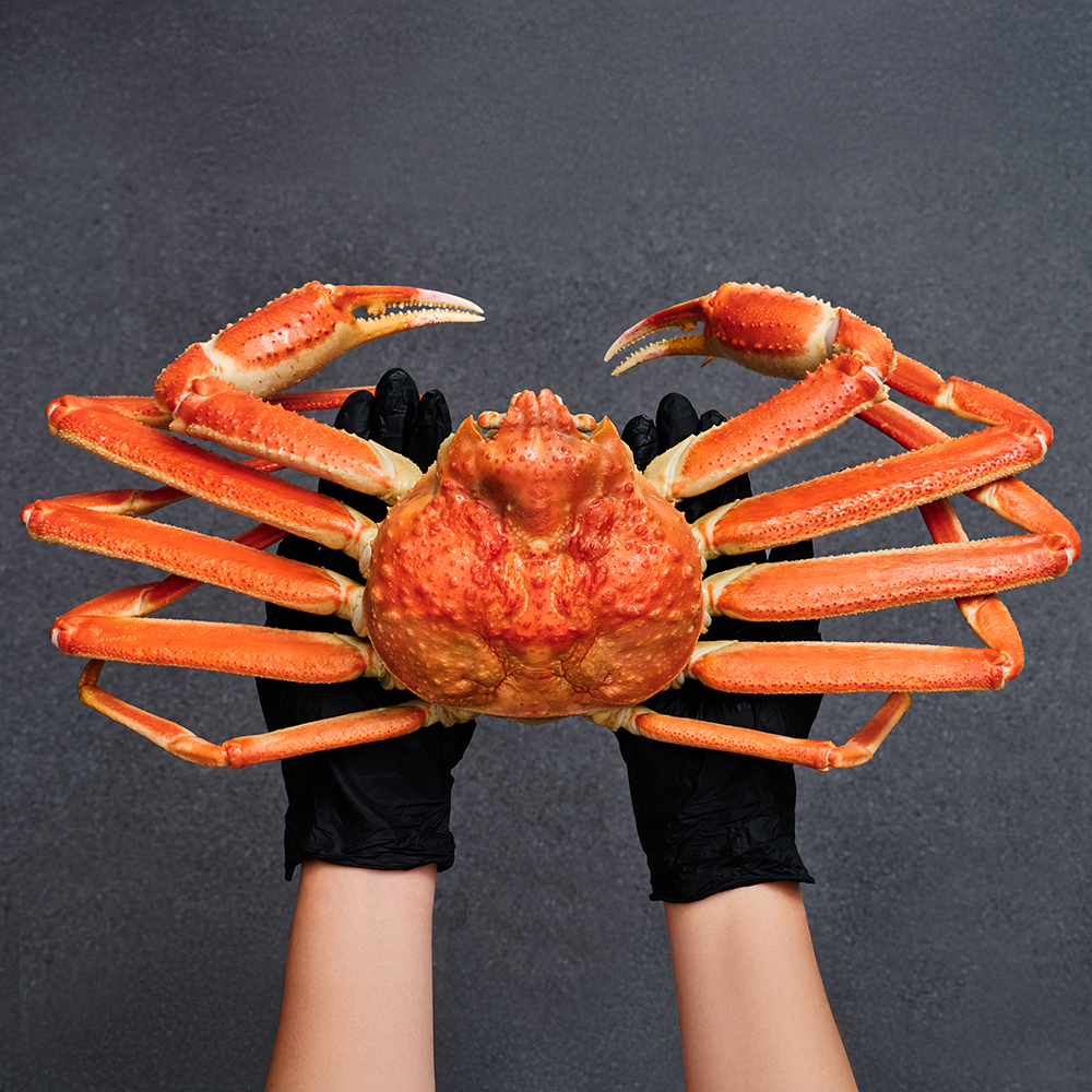 크랩이츠 러시아 자숙대게 (HACCP시설 자숙) 스노우크랩 러시아대게 5kg, 1개 - 상세 이미지 2