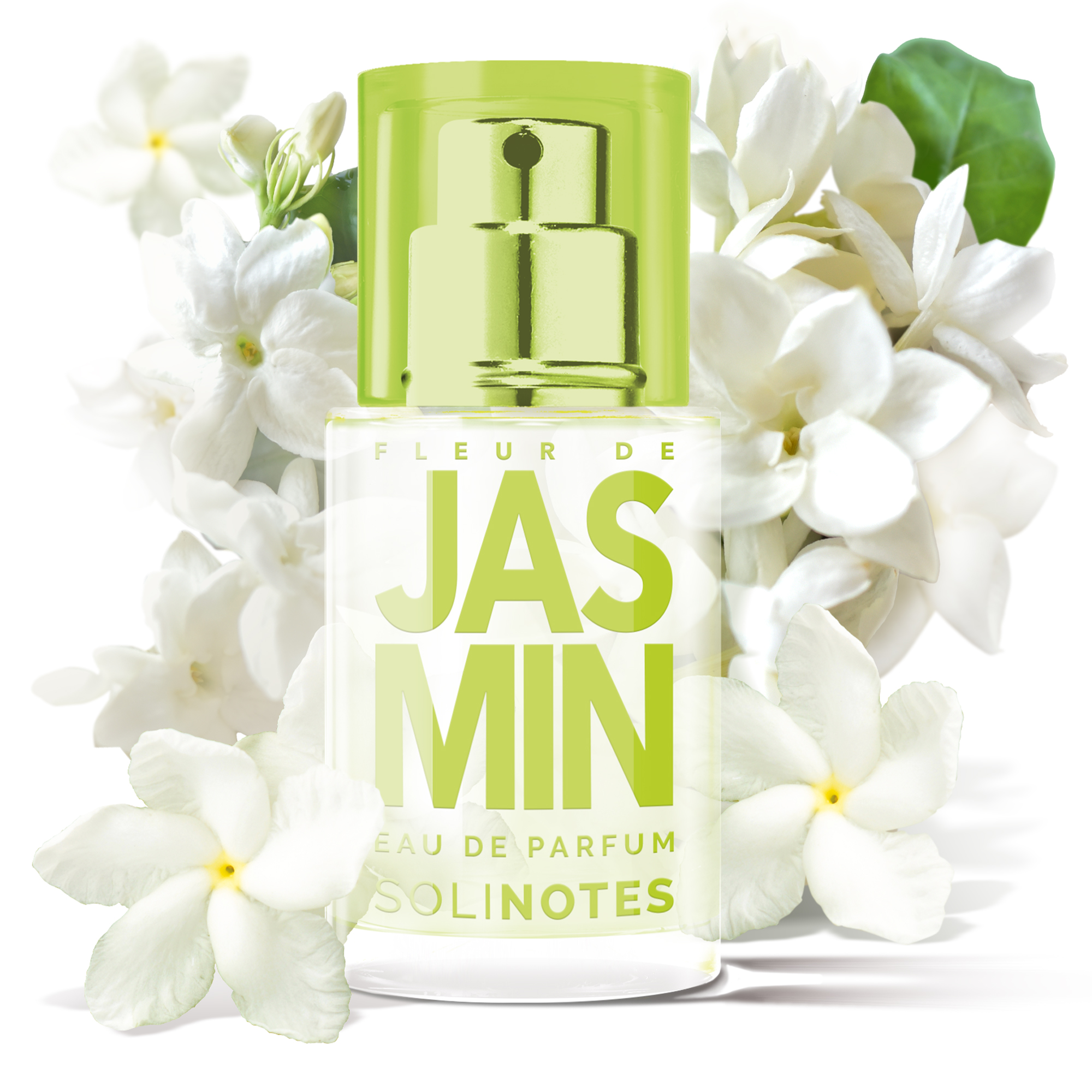 솔리노트 자스민 블라썸 15ml 오 드 퍼퓸 EDP 남성향수 여성향수 - 상세 이미지 4