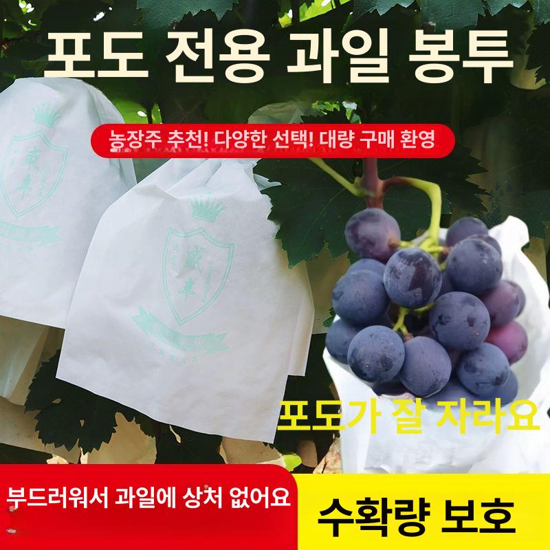 포장지 과수원 과수봉지 포도투명봉지 반투명 전체 19x26cm 0.5kg 프리미엄 목재지 100개 - 상세 이미지 2