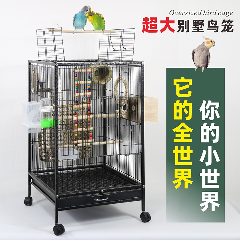 새장 앵무새 케이지 사각 훈련 모이통 날림장 새 용품 대형 새집 장난감 별장 새장 스탠다드 화이트 - 상세 이미지 2