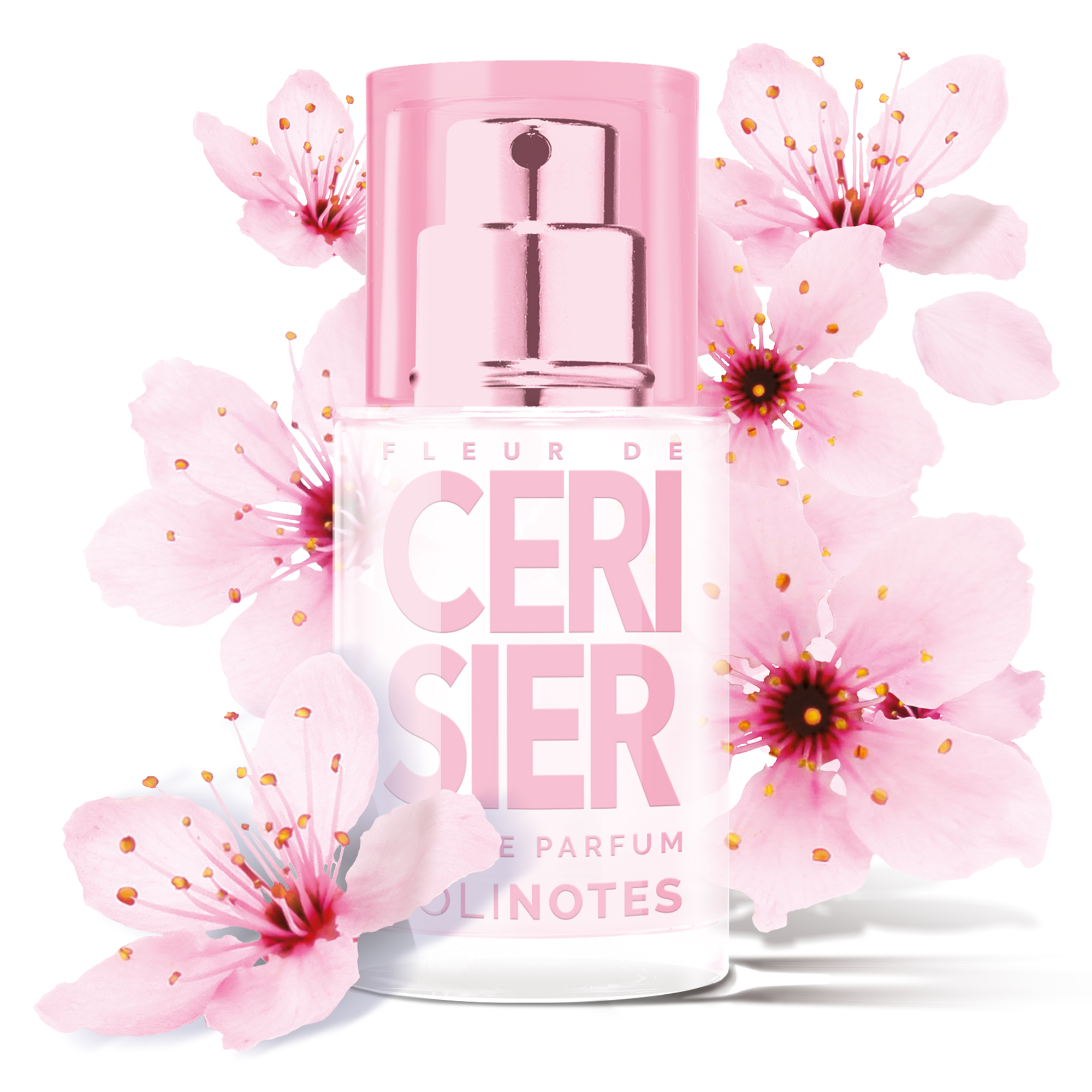 솔리노트 체리 블라썸 15ml 오 드 퍼퓸 EDP 남성향수 여성향수 - 상세 이미지 5