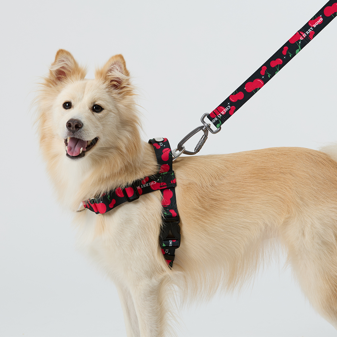 일로 맥스 리쉬 리드줄 반려견 산책용품 2m 체리붐, 2.4m 핸즈프리
