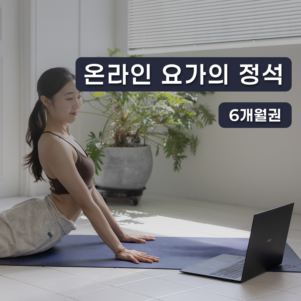 루트인 요가 6개월 수강권 온라인요가 초보 새벽 저녁 아침 주말 줌 홈트 갱년기 비대면 - 상품 이미지
