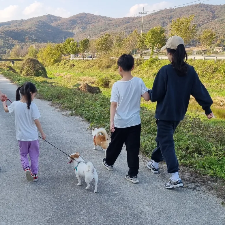 [동물체험농장] 어린이 동물 농장 숲 농촌 체험 경기 여주 유아 어린이 가족체험학습 by 주주팜 - 상세 이미지 5