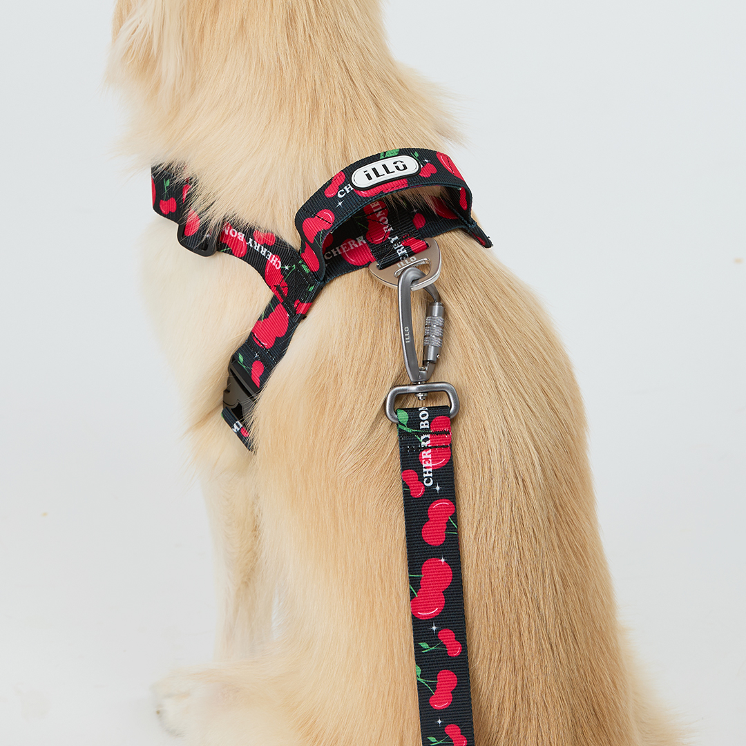 일로 맥스 리쉬 리드줄 반려견 산책용품 2m 체리붐, 2.4m 핸즈프리