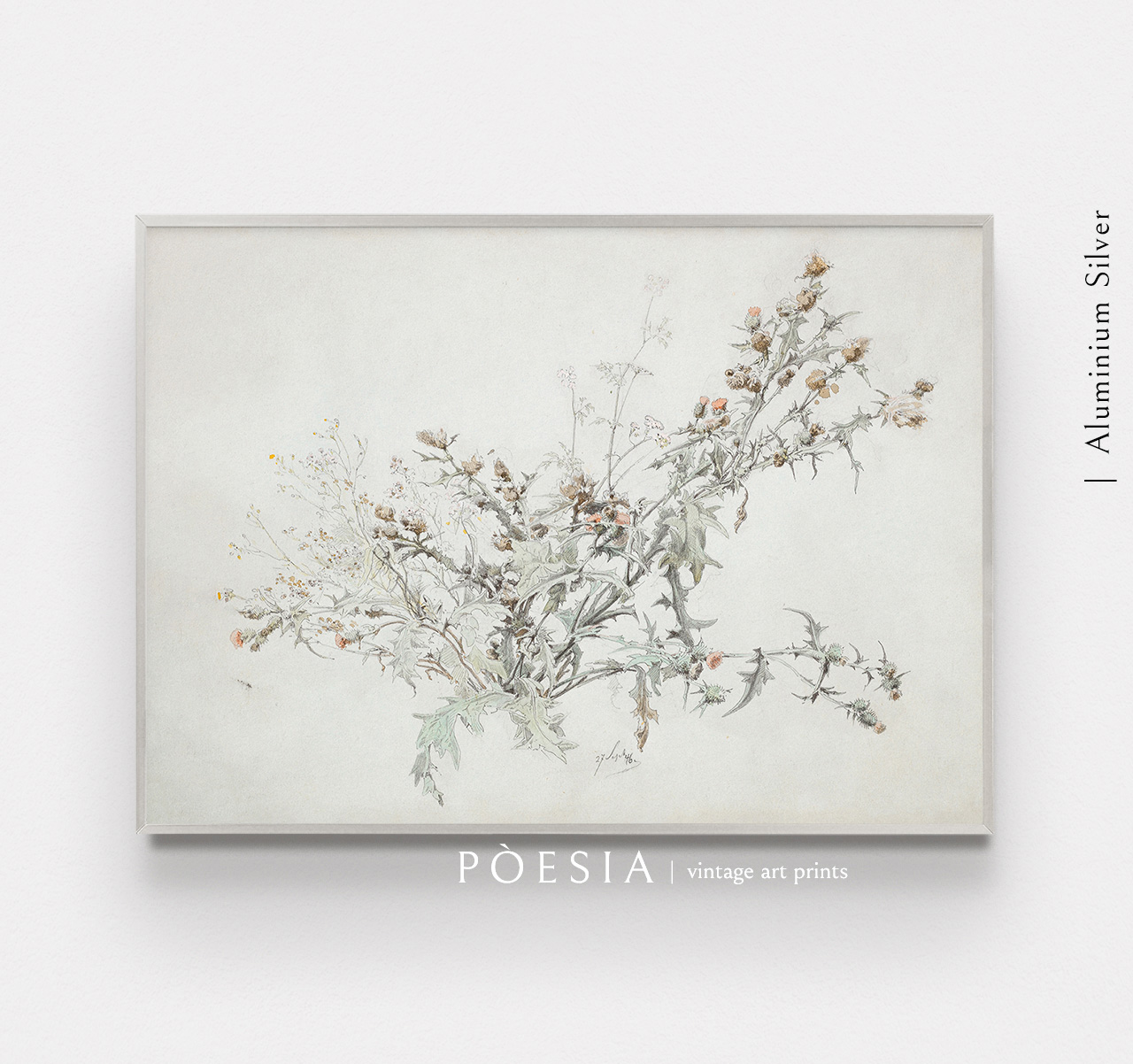 [카를 안톤 그랩] Study of a Flowering Thistle 포스터 액자 포함 - 상세 이미지 5