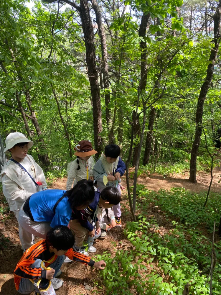 [분당중앙공원] 숲에서 만나는 인문철학교실 by 숲체험 철학교실 - 상세 이미지 4