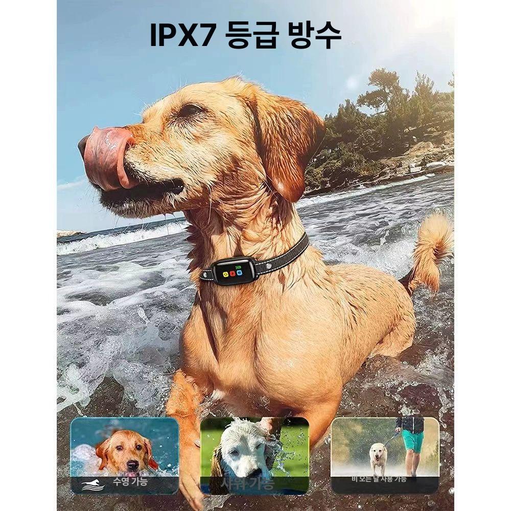 강아지 개 전기충격기 훈련용 충격기 애완견 짖음방지 KT18 블랙-1개 - 상세 이미지 5