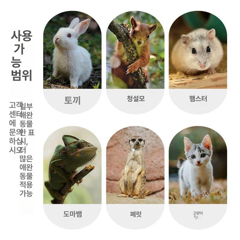 토끼 친칠라 슈가글라이더 햄스터 날다람쥐 기니피그 패키지 복층 은신처 새장 다람쥐 600 2단 화이트 패키지 1 소형 반려동물용 - 상세 이미지 2