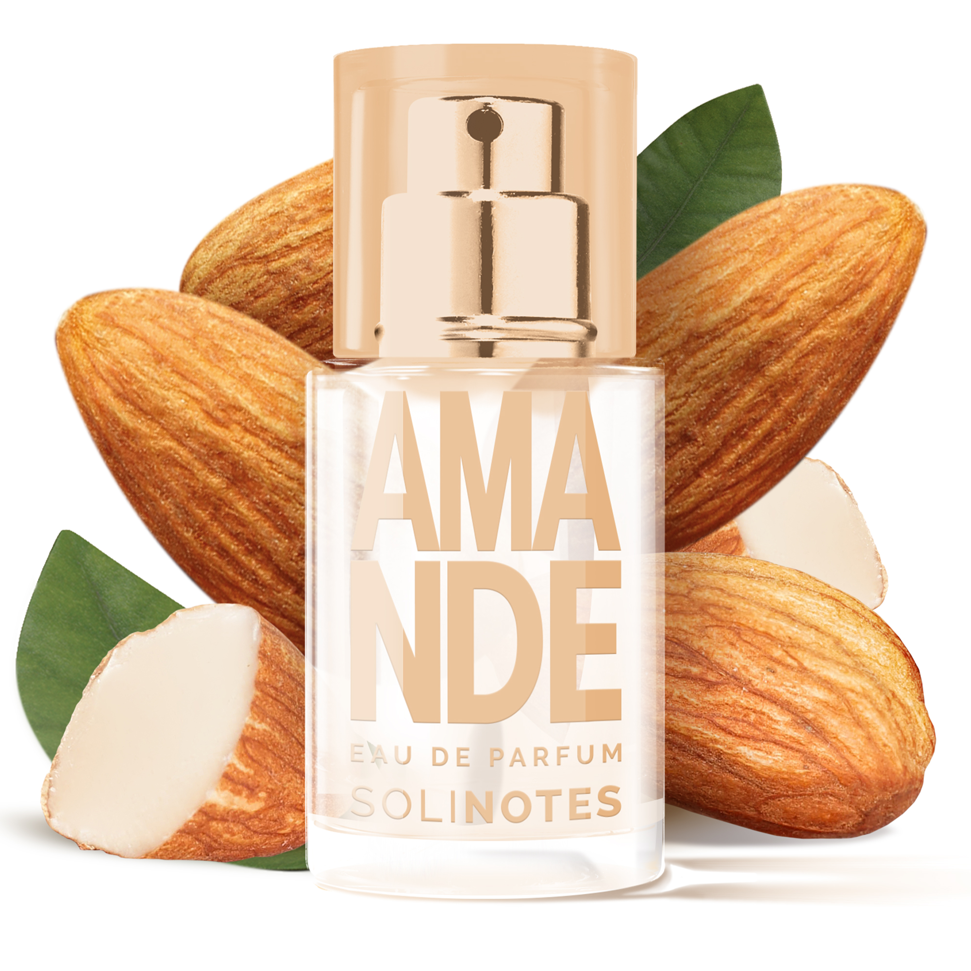 솔리노트 아망드 15ml 오 드 퍼퓸 EDP 남성향수 여성향수 - 상세 이미지 5