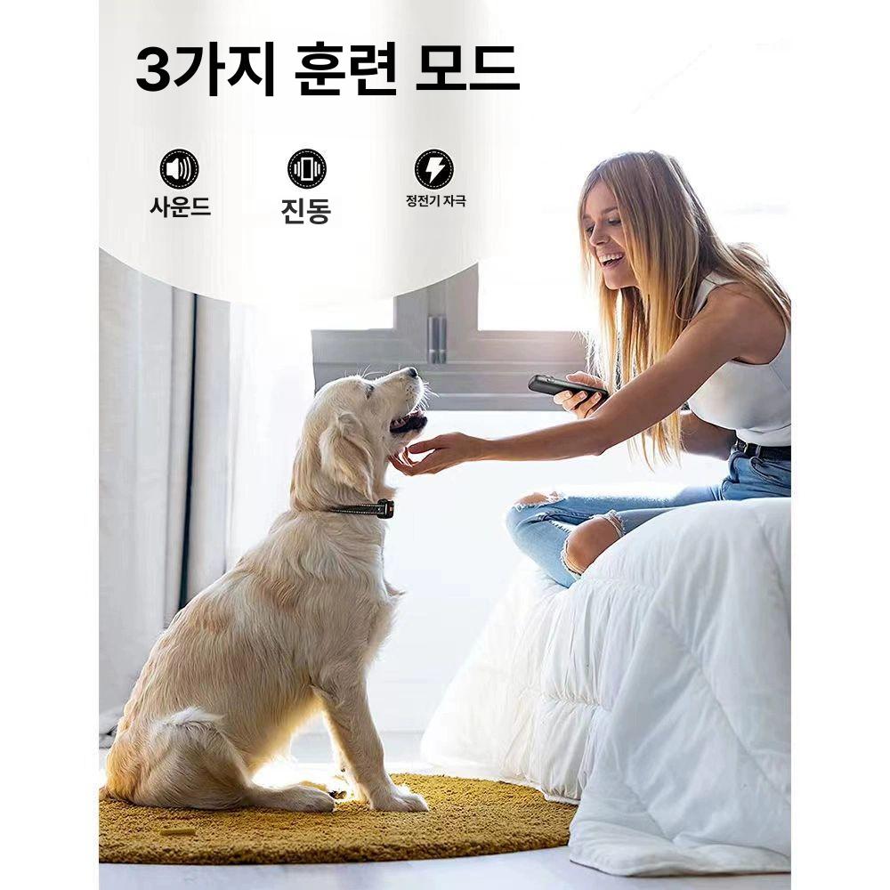 강아지 개 전기충격기 훈련용 충격기 애완견 짖음방지 KT18 블랙-1개 - 상세 이미지 2
