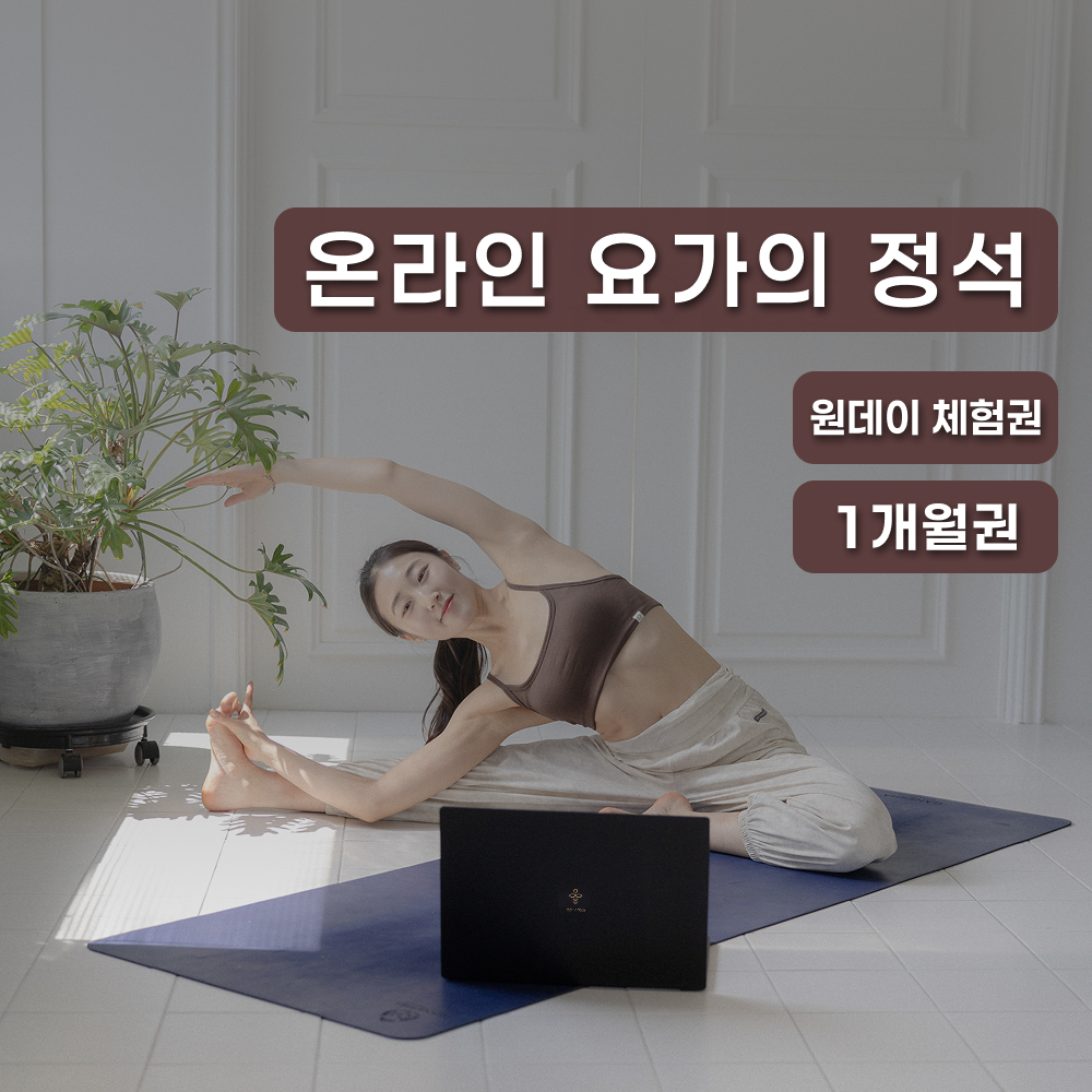 루트인 요가 1개월 수강권 초보 새벽 임산부 온라인 산전 산후 저녁 아침 주말 줌 홈트 - 상품 이미지