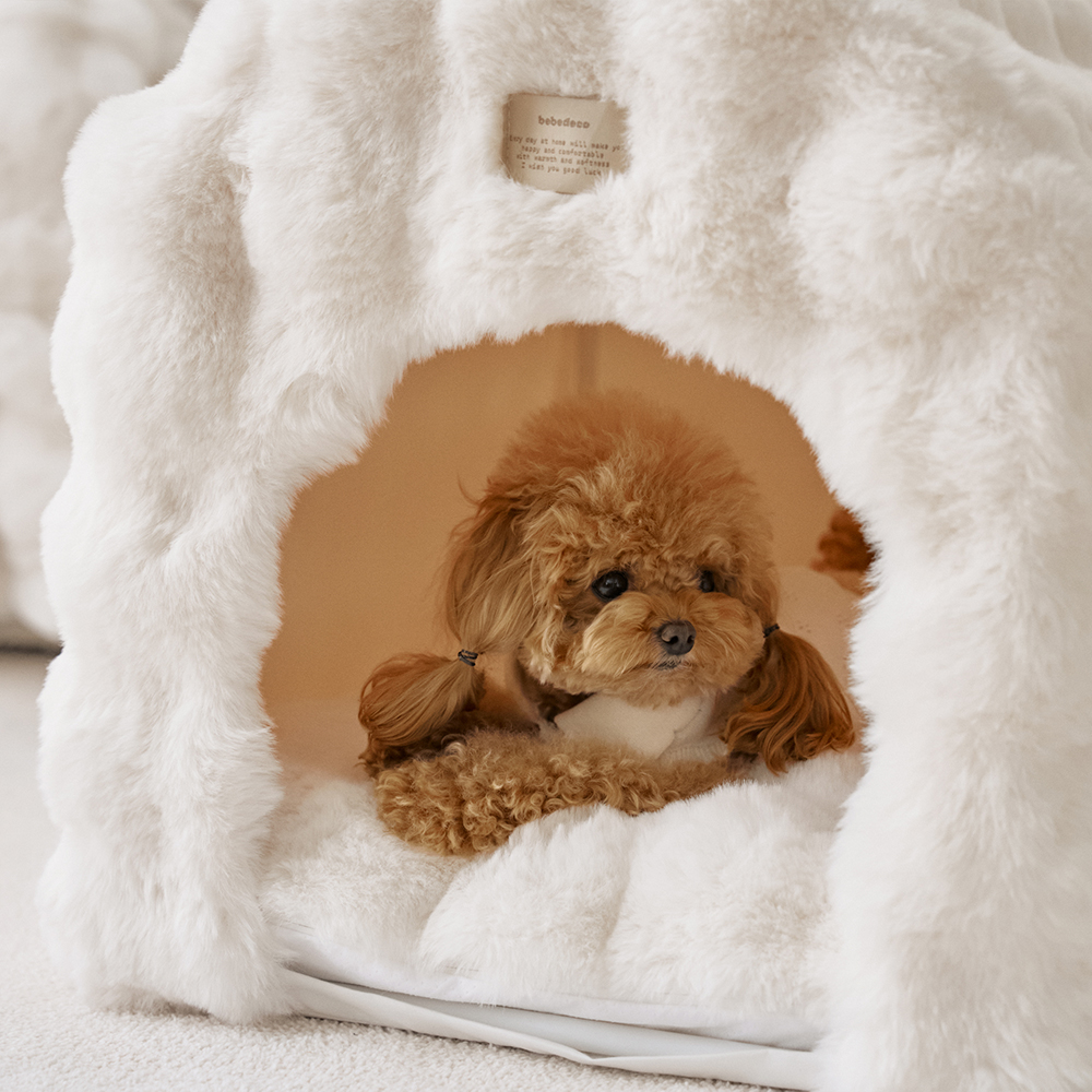 몽글몽글 밍크 라떼 고양이 강아지집 애견 텐트 펫 하우스 동굴 방석 세트 숨숨집 소형견