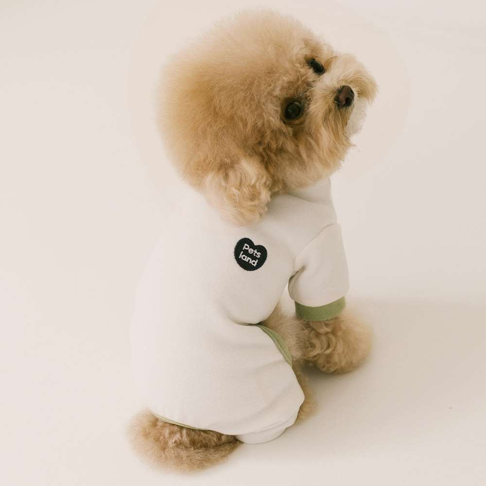 강아지 올인원 내복 실내복 겨울옷 버터소프트