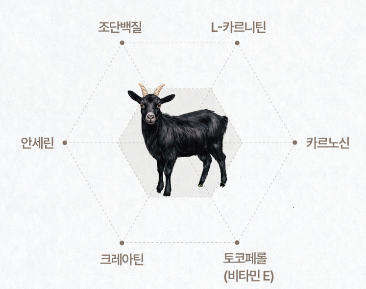 강력피로회복제 블랙마카 2100 2500 남자갱년기 약두달분 - 상세 이미지 4