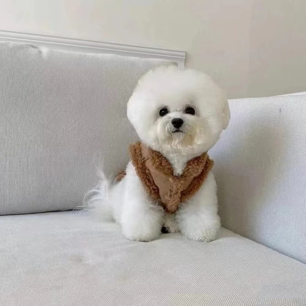 강아지 무스탕 애견무스탕 겨울옷 하네스 조끼 아우터 소형견 자켓 고양이 의류 - 상세 이미지 4