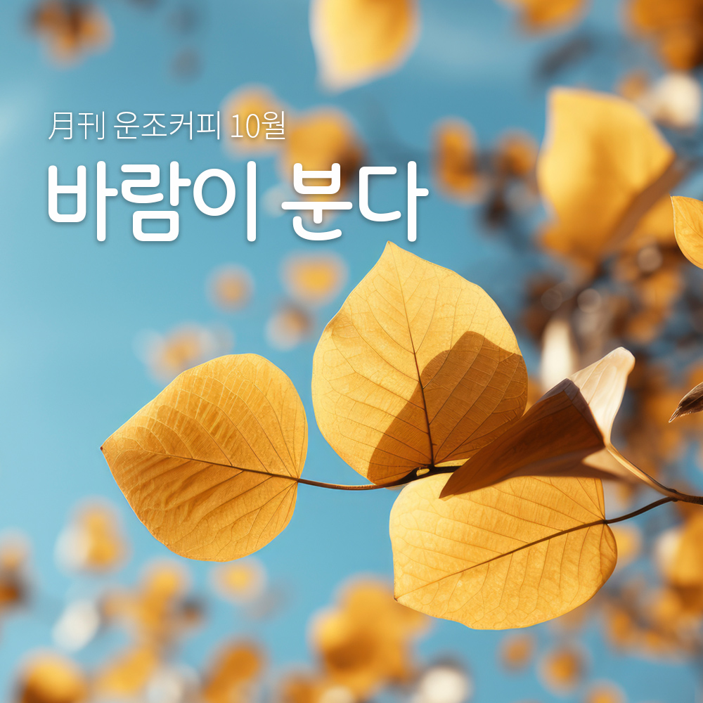 운조커피 월간커피 10월 바람이분다 200g 원두 커피 - 상품 이미지