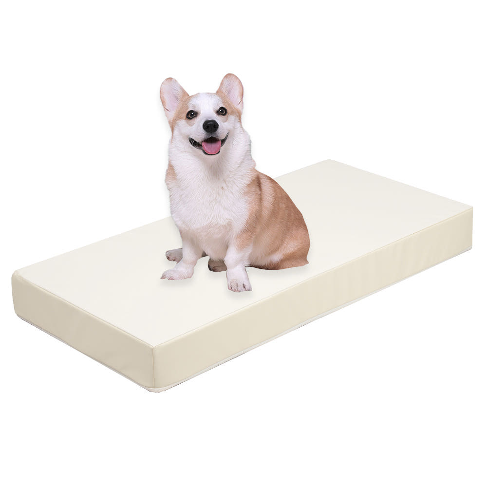 초코펫하우스 강아지계단 슬라이드스텝 논슬립스텝2.0 그레이, 대형 이미지 3