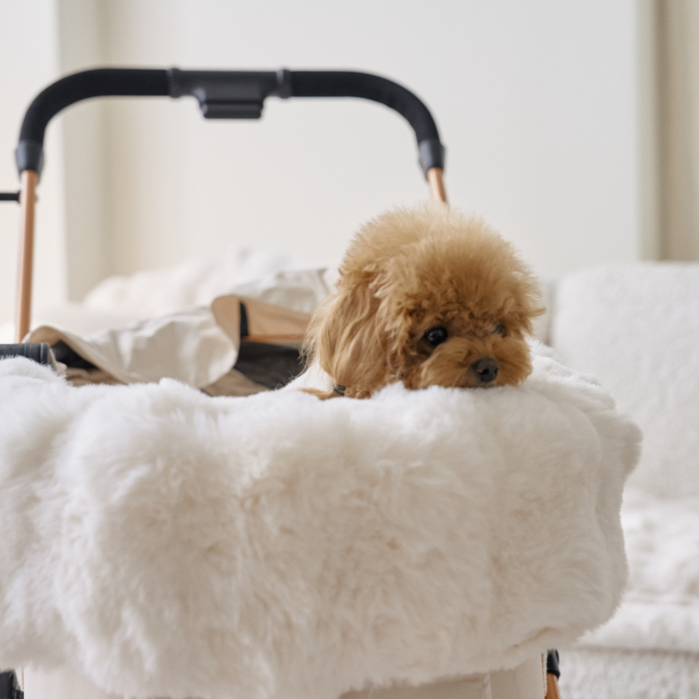 몽글몽글 밍크 라떼 강아지 유모차 말랑 범퍼 가드쿠션 컴포터 (양면 사용 가능)