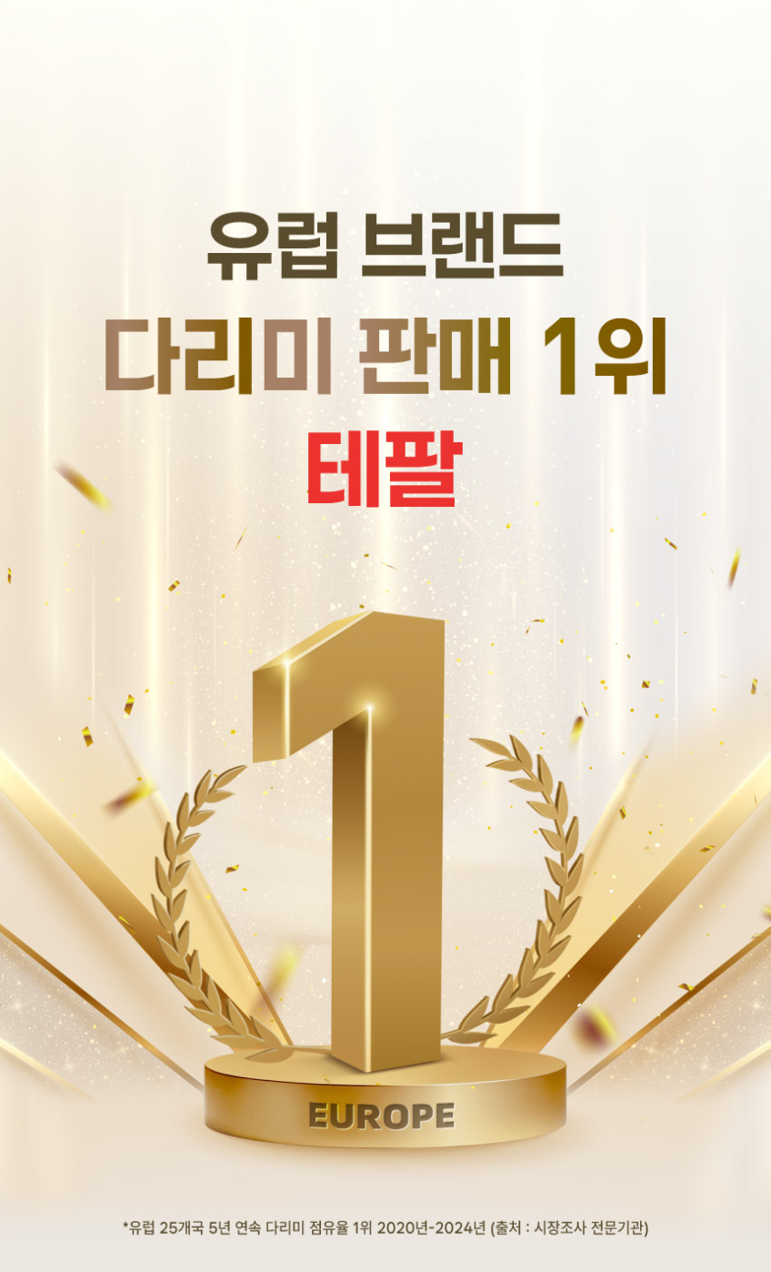 테팔 건식다리미 드라이 글리스 FS3110K0 판매처 상세 정보 이미지 3