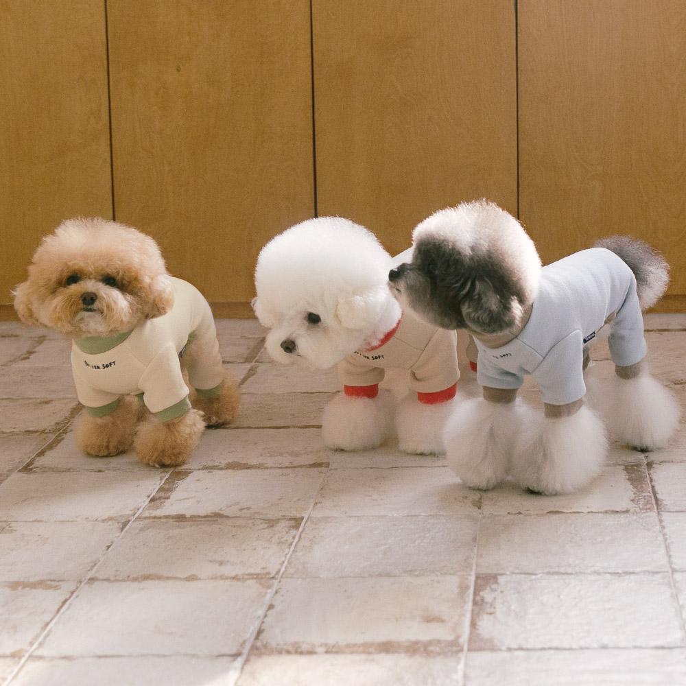 강아지 올인원 내복 실내복 겨울옷 버터소프트