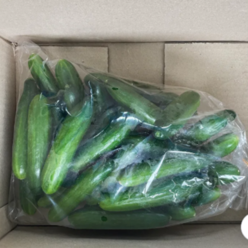 자연가득 아삭아삭 국내산 미니오이 스낵오이 500g-2kg - 상세 이미지 5