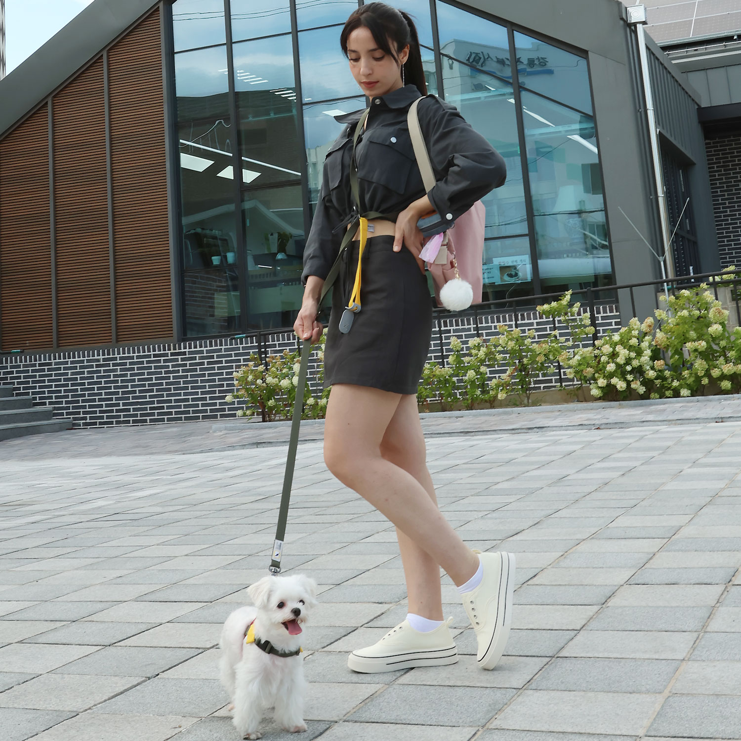 캔루 손잡이 배색 길이조절 리드줄 강아지 애견 산책줄 소형견 중형견 - 상세 이미지 5