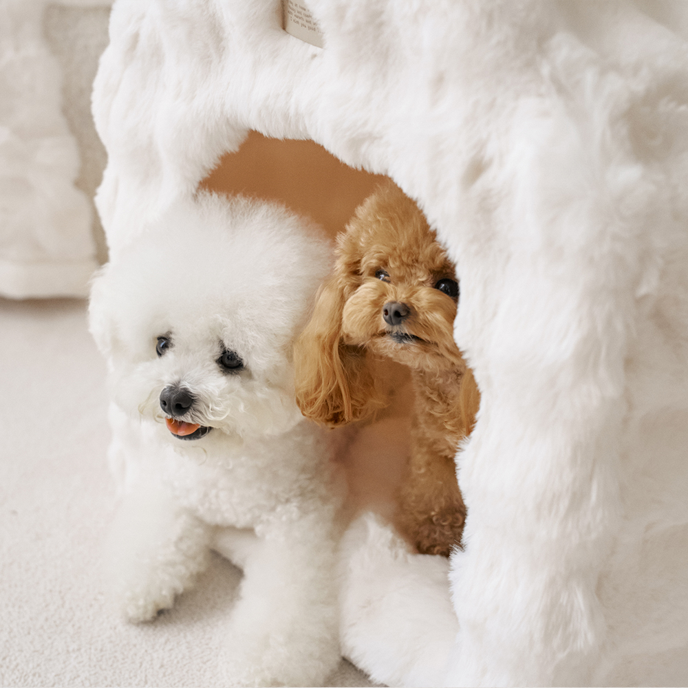 몽글몽글 밍크 라떼 고양이 강아지집 애견 텐트 펫 하우스 동굴 방석 세트 숨숨집 소형견