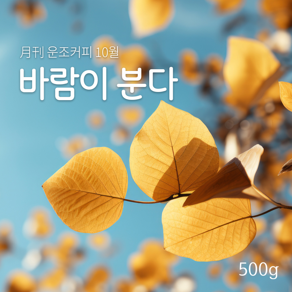 운조커피 월간커피 10월 바람이분다 500g 원두 커피 - 메인 이미지