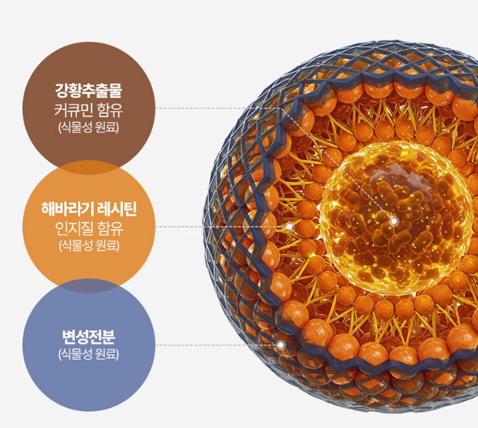 리포민 영양제 리포큐민 흡수율 좋은 높은 30정 - 상세 이미지 2
