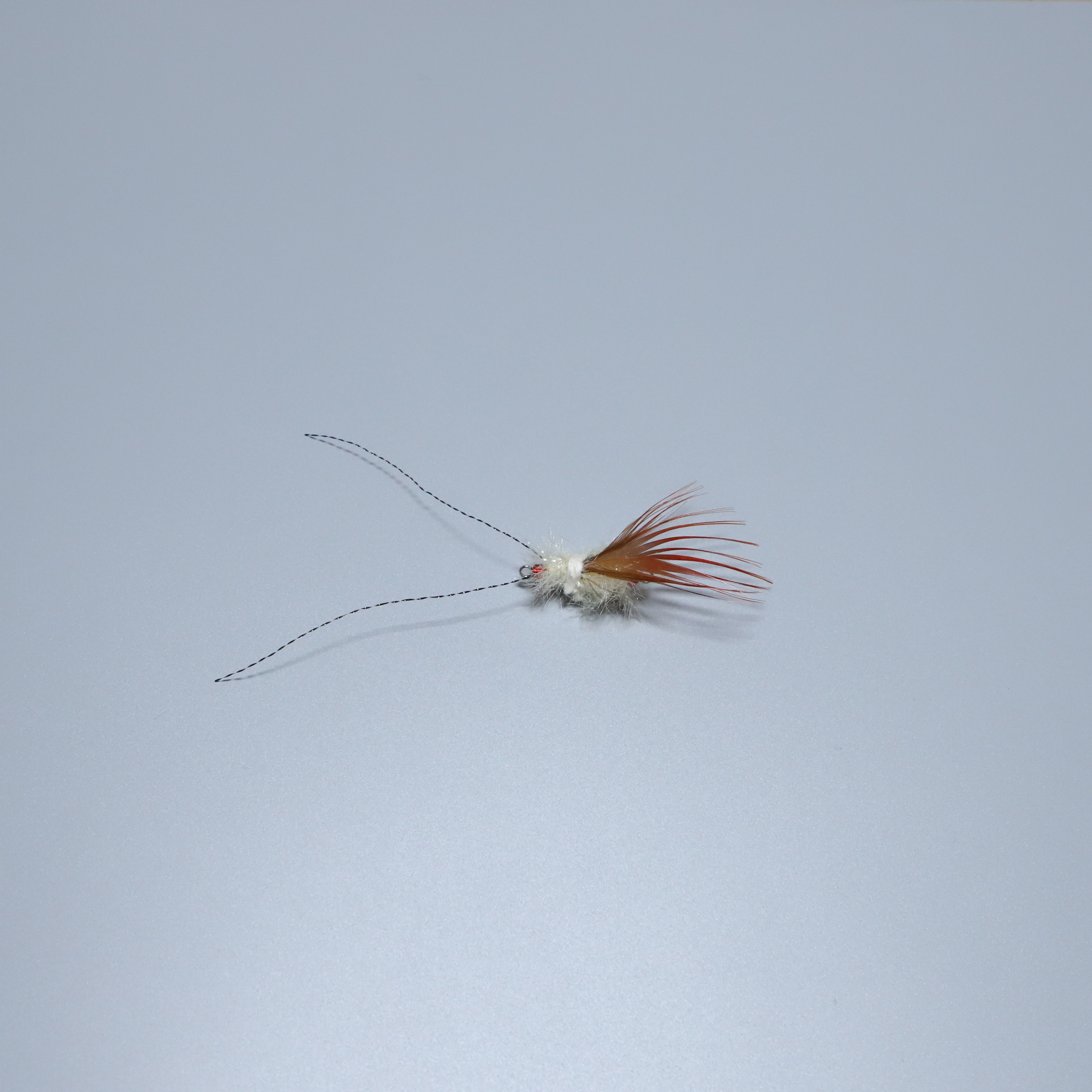 ABIBI'S GOMULSANG 수제 고양이 장난감 리필 미끼 끈 벌레 깃털 곤충 레드 윙 버그 - 상세 이미지 2