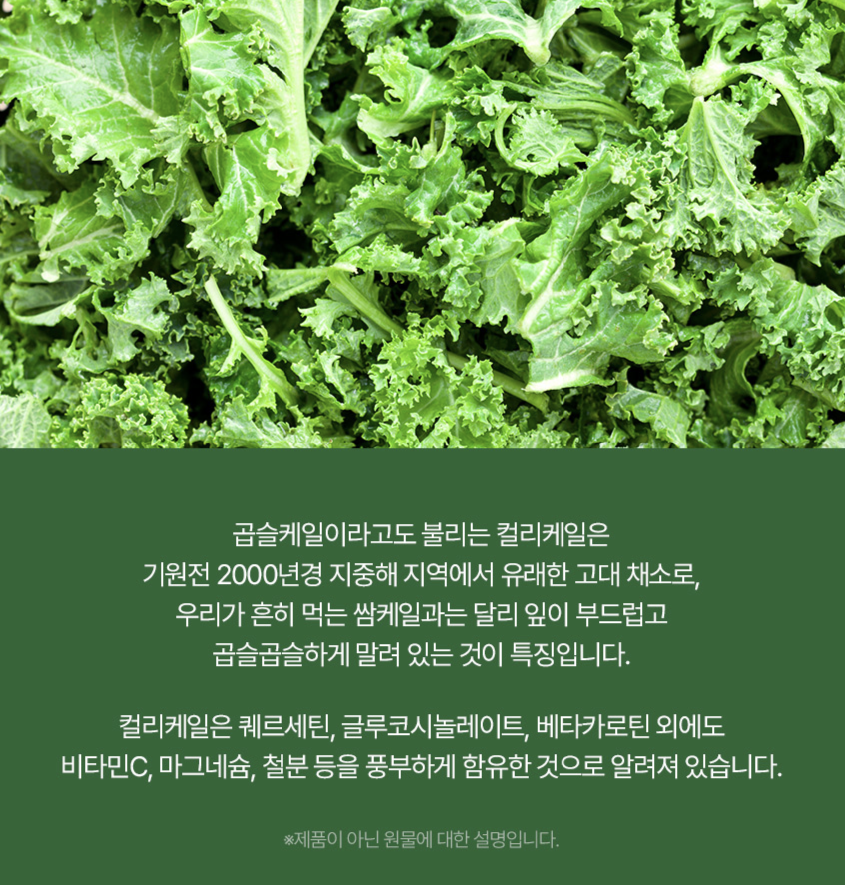 컬리케일 콧물 영양제 폐 건강식품 폐 기관지 영양제 600mg - 상세 이미지 3