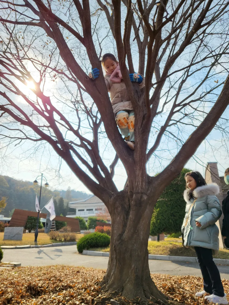 [목동계남공원] 행복한숲학교 원데이 어린이 숲체험 by 행복한숲학교 - 상세 이미지 5