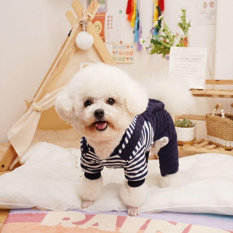 강아지옷 멜빵 코듀로이 골덴 올인원 애견 데일리룩 - 상세 이미지 3