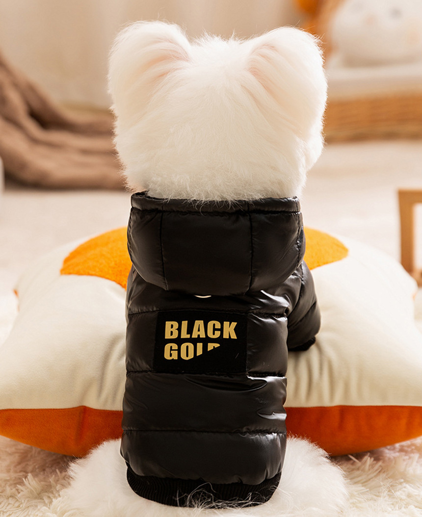 쭈쭈야 그래핀 발열 강아지패딩 하네스 자켓 고양이 블랙골드 겨울옷 애견점퍼 강아지옷