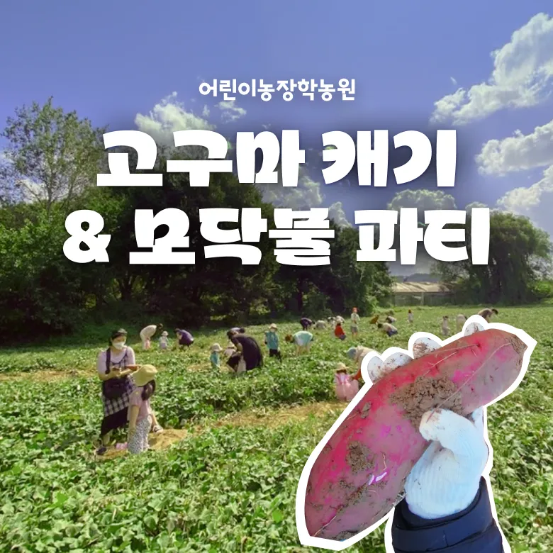 경기 평택 어린이 체험농장! 고구마 캐기 체험 & 모닥불 파티 by 어린이농장학농원